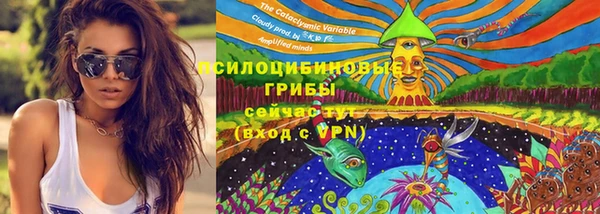 spice Баксан