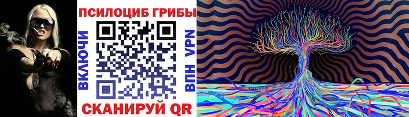 ОМГ ОМГ как войти Биробиджан Псилоцибиновые грибы Psilocybe